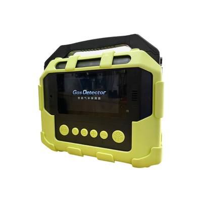 Ptm600-S Portable Multi-Gas Analyzer for Emergency Response and Laboratory Use